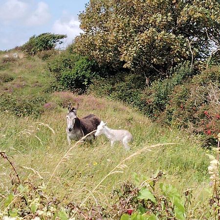 Ballyconneely House غالواي المظهر الخارجي الصورة