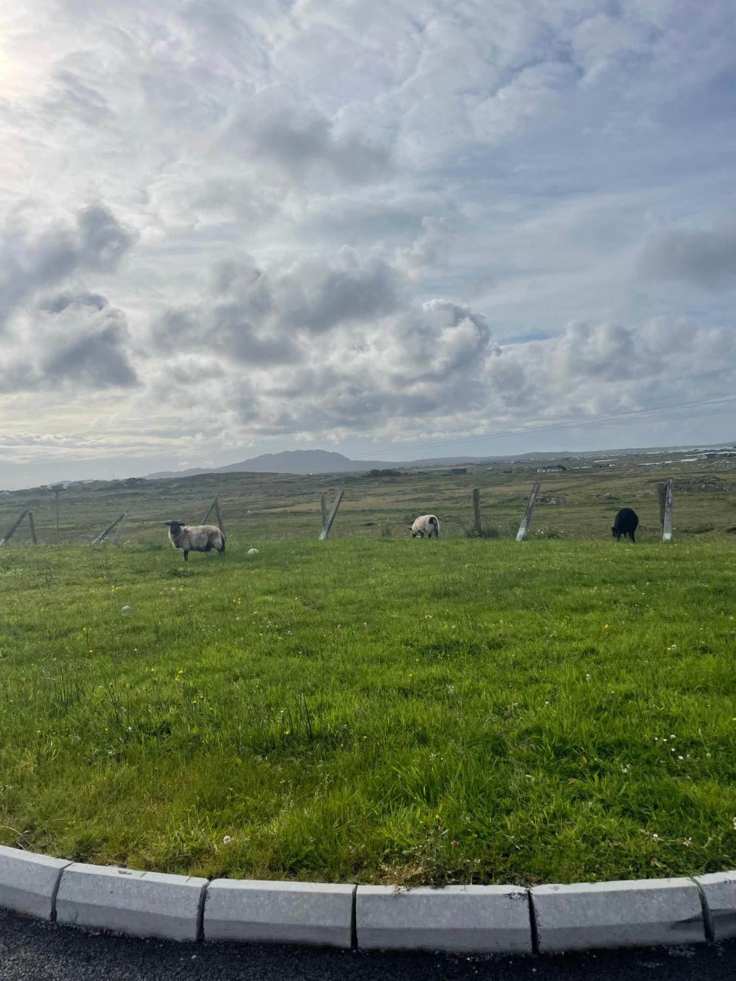 Ballyconneely House غالواي المظهر الخارجي الصورة